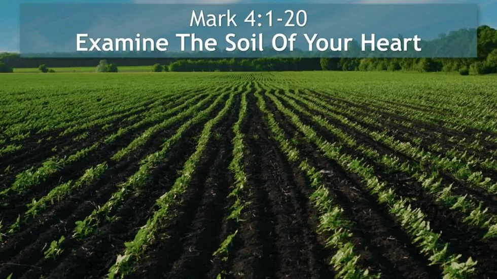 mark-4-1-20-examine-the-soil-of-your-heart-living-water-church